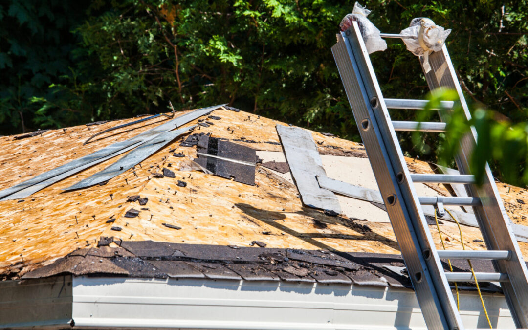 8 Different Varieties of Commercial Metal Roofing in Florida