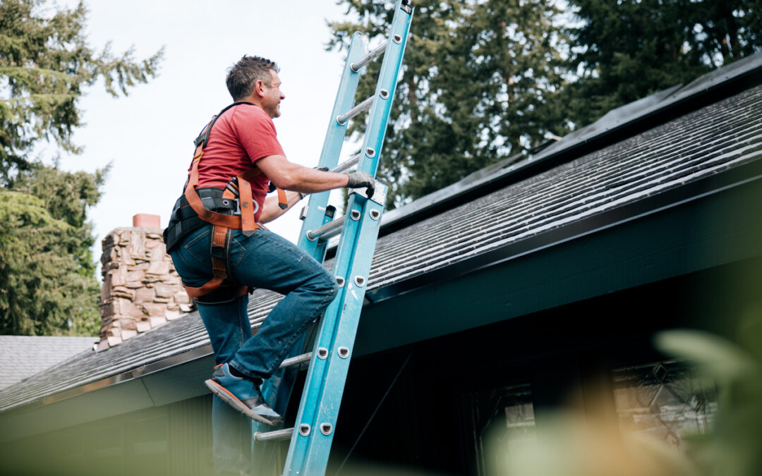 Is Your Roof Ready for Tampa’s Weather? Here’s How to Find Out