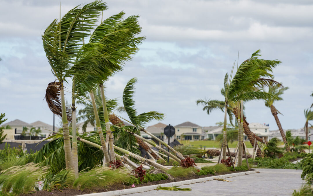 Florida Hurricane Forecast 2025: How to Prepare Your Roof